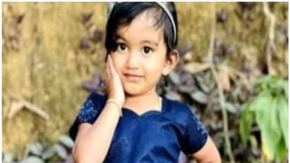 വയനാട്ടിൽ രണ്ടര വയസുകാരി താമരക്കുളത്തിൽ വീണ് മരിച്ചു