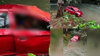 പാലാ തിടനാട്ടിൽ കാർ തോട്ടിൽ വീണു, യുവാവ് മരിച്ചു; രാത്രിയുണ്ടായ അപകടം പുറംലോകം അറിഞ്ഞത് രാവിലെ