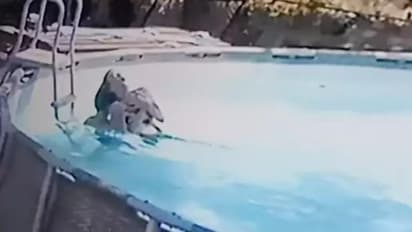 Viral Video: നീന്തല്‍ക്കുളത്തില്‍വച്ച് അമ്മയ്ക്ക് അപസ്മാരം; രക്ഷിച്ച് പത്തുവയസുകാരന്‍; വീഡിയോ 