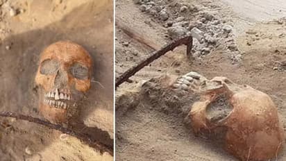 सामने आई गर्दन में अपनी नुकीले दांत गड़ाकर खून पीने वाली दुनिया की पहली फीमेल वैम्पायर