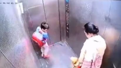 ഉടമ നോക്കി നിന്നു, ലിഫ്റ്റിൽ വളർത്തു നായ കുട്ടിയെ കടിച്ചു