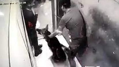 Dog Attack : വീണ്ടും ലിഫ്റ്റിനകത്ത് വച്ച് വളര്ത്തുനായയുടെ ആക്രമണം; വീഡിയോ