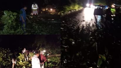 ഓണത്തിരക്കിനിടെ താമരശ്ശേരി ചുരത്തിൽ കൂറ്റൻ മരം വീണു, വൻ ഗതാഗത കുരുക്ക്, യാത്ര പൂർണ്ണമായി സ്തംഭിച്ചു