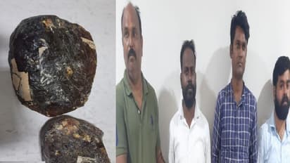 திமிங்கல வாந்தியை கடத்திய 4 பேர் கைது… ரூ.10 கோடி மதிப்பிலான திமிங்கல வாந்தி பறிமுதல்!!