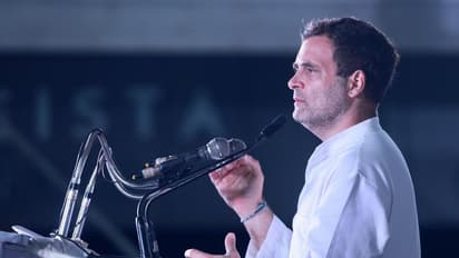 'വെറുപ്പ് കൊണ്ട് ബിജെപി പരിഭ്രാന്തരാകുന്നു,ഹിന്ദുത്വത്തിൽ വിശ്വസിക്കുന്ന പാർട്ടി അശാന്തി സൃഷ്ടിക്കുന്നു':രാഹുൽ