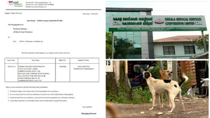 പേവിഷ പ്രതിരോധ വാക്സീൻ ഒരു ബാച്ചിന്‍റെ ഉപയോഗം നിർത്തി, തിരിച്ചെടുക്കുന്നു, കോൾഡ് ചെയിൻ സംവിധാനത്തിൽ ആശങ്ക 