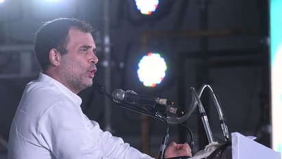 ബിജെപി രാജ്യത്ത് വെറുപ്പും വിദ്വേഷ്യവും വളർത്തുന്നുവെന്ന് രാഹുൽ ഗാന്ധി; ആവേശമായി ഭാരത് ജോഡോ യാത്ര