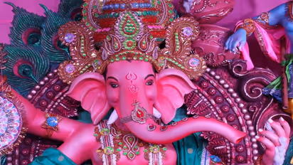 பிளாஸ்டர் ஆப் பாரிஸ் விநாயகர் சிலை விற்பனைக்கு தடை!