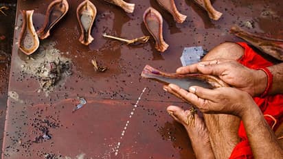 Shraddha Paksha 2022: किसी की मृत्यु तिथि पता न हो तो किस दिन करें उसका श्राद्ध?