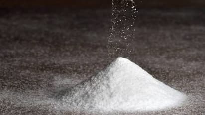 മരിച്ചുപോയ മകന്റെ ജീവൻ തിരിച്ചു കിട്ടാൻ മൃതദേഹം ഉപ്പിട്ടു മൂടി മാതാപിതാക്കൾ