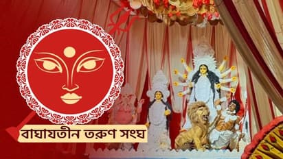 প্লাস্টিক অসুর বধ করে ধরিত্রী মা-কে বাঁচান, বাঘাযতীন তরুণ সংঘের এবারের থিম 'মুক্ত করো ফাঁস'