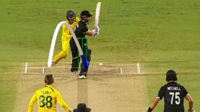 ചിരിപ്പിച്ച് കൊല്ലും, ഇങ്ങനെയൊന്നും പുറത്താവരുത്! ആഡം സാംപയുടെ ഫുള്‍ടോസില്‍ മടങ്ങി വില്യംസണ്‍- വൈറല്‍ വീഡിയോ