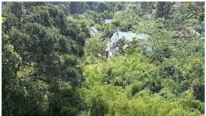 കൊക്കയിൽ 5 പേർ വീണു, ഒരാൾ മരിച്ചു, ഒരാൾക്ക് പരിക്ക്, 3 പേർക്ക് പരിക്കുകളില്ല; എത്തിയത് എങ്ങനെ? അന്വേഷണം