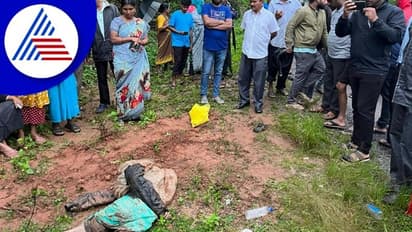 Chikkamagaluru; ಕೆಲಸ ಮುಗಿಸಿ ಮನೆಗೆ ತೆರಳುತ್ತಿದ್ದ ಕಾರ್ಮಿಕ ಕಾಡಾನೆ ದಾಳಿಗೆ ಬಲಿ