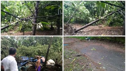 Kerala Rain : തൃശൂരിൽ മിന്നൽ ചുഴലി , വൻ നാശനഷ്ടം