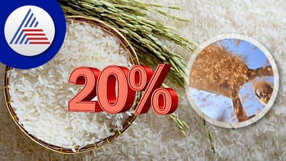 ಏರುತ್ತಿರುವ ಅಕ್ಕಿ ಬೆಲೆಗೆ ಕಡಿವಾಣ; ನುಚ್ಚಕ್ಕಿ ರಫ್ತು ನಿಷೇಧ, ಬಾಸ್ಮತಿಯೇತರ ಅಕ್ಕಿ ರಫ್ತಿನ ಮೇಲೆ ಶೇ.20 ಸುಂಕ