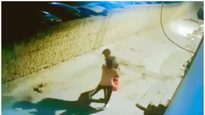 മൊബൈൽ തട്ടിപ്പറിച്ചോടാൻ ശ്രമം, അക്രമിയെ കോളറിൽ പിടിച്ച് നിർത്തി യുവതി, വീഡിയോ വൈറൽ 