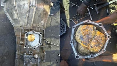 Drugs worth Rs 200 crore seized during op 'Gear Box' at Kolkata Port