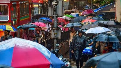 Monsoon Rains: महाराष्ट्र, केरल, छत्तीसगढ़ सहित कई राज्यों में हो सकती है भारी बारिश, जानिए IMD की भविष्यवाणी