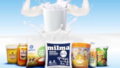 'മിന്നിച്ച് മില്മ'; ഓണക്കാലത്ത് മില്മ പാലിനും പാലുത്പ്പന്നങ്ങള്ക്കും റെക്കോര്ഡ് വില്പ്പന