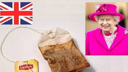 1998 -ൽ എലിസബത്ത് രാജ്ഞി ഉപയോ​ഗിച്ച ടീബാ​ഗ് വിൽപനയ്ക്ക്, വില 9.5 ലക്ഷം!