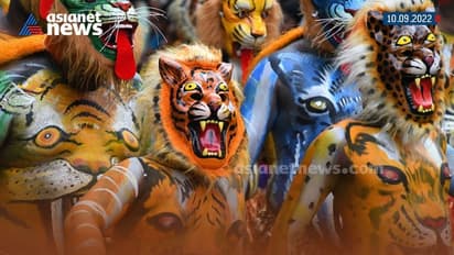 തൃശ്ശൂരിൽ പുലിക്കളി നാളെ തന്നെ; ഔദ്യോഗിക ചടങ്ങുകൾ ഒഴിവാക്കും