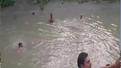 हरियाणा में गणेश विसर्जन के दौरान हादसा: बप्पा के साथ बह गए लोग, 7 लोगों की मौत...कई का पता नहीं