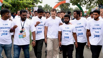 Bharat Jodo Yatra: ರಾಹುಲ್ ಪಾದಯಾತ್ರೆಗೆ ಗುಂಡ್ಲುಪೇಟೆ ಸಜ್ಜು: 30 ಸಾವಿರಕ್ಕೂ ಹೆಚ್ಚು ಮಂದಿ ಭಾಗಿ