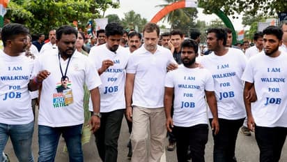 42 % இளைஞர்களுக்கு வேலை இல்லை.. அவர்களுக்காக நடக்கிறோம், வேலைக்காக நடக்கிறோம்.. ராகுல் போட்ட மாஸ் டுவிட்.  