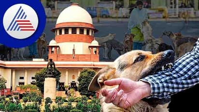 Stray dog attack: Kannur district panchayat files additional affidavit in SC; 465 children bitten in two years