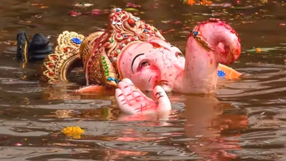 விநாயகர் சிலை கரைக்கும் போது ஏற்பட்ட விபரீத சம்பவம் - பொதுமக்கள் அதிர்ச்சி