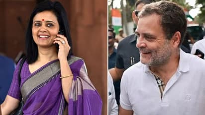 ৪১ হাজার টাকার টি-শার্ট বিতর্কে রাহুলের পাশে মহুয়া মৈত্র, 'পরামর্শ' দিলেন বিজেপিকে