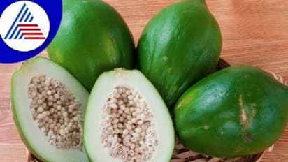  ఆరోగ్యానికి పచ్చి బొప్పాయి రసం.. కొలెస్ట్రాల్ నుంచి కడుపు నొప్పి వరకు ఎన్ని సమస్యలను తగ్గిస్తుందో..!