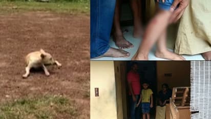 ശാസ്താംകോട്ടയിലെത്തിയ സഞ്ചാരികൾക്ക് നേരെ തെരുവ് നായ ആക്രമണം: ആറ് വയസ്സുകാരനടക്കം മൂന്ന് പേര്ക്ക് കടിയേറ്റു