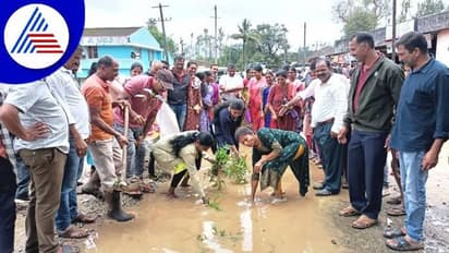 ಚಿಕ್ಕಮಗಳೂರು: ದಶಕಗಳಿಂದ ಹದಗೆಟ್ಟ ರಸ್ತೆ: ರಿಪೇರಿಗೆ ಆಗ್ರಹಿಸಿ ರೋಡ್ನಲ್ಲಿ ಗಿಡನೆಟ್ಟು ಮಹಿಳೆಯರ ಪ್ರತಿಭಟನೆ
