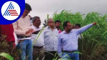 Belagavi Floods: ಕೇಂದ್ರ ನೆರೆ ಅಧ್ಯಯನ ತಂಡ ಭೇಟಿ, ಪರಿಶೀಲನೆ