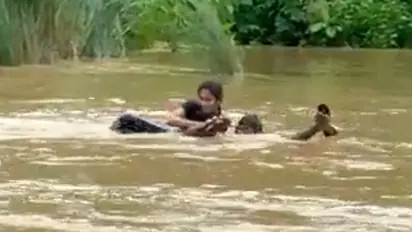 Woman swims across overflowing river to attend exam in Andhra Pradesh: watch video