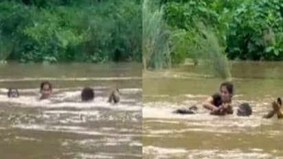 പരീക്ഷ എഴുതാൻ കുത്തിയൊഴുകുന്ന പുഴ നീന്തിക്കടന്ന് യുവതി, സഹായത്തിന് സഹോദരങ്ങളും