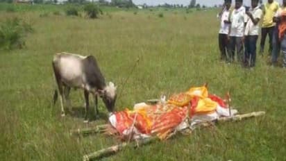 चमत्कारी घटना: मालिक की मौत पर श्मशान पहुंचा बैल, शव को चूम अर्थी के लगाए परिक्रमा, आंख से बहे आंसू