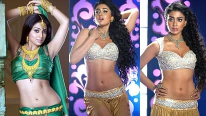 క్రేజ్ తగ్గినా ఆస్తులు మాత్రం గట్టిగానే కూడబెట్టుకున్న శ్రియా శరణ్.. హాట్ బ్యూటీ రేర్ ఫ్యాక్ట్స్