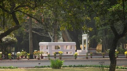 শান্তিনিকেতনে ছাতিমতলার চরম দুর্দশা, লণ্ডভণ্ড হওয়ার ছবি দেখে শিউরে উঠছেন বঙ্গবাসী