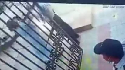 സെക്യൂരിറ്റി ഗാർഡിനെ നിർത്താതെ തല്ലി സ്ത്രീ, വീഡിയോ വൈറൽ, രോഷം