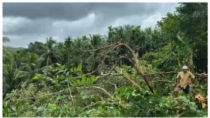 കാസര്കോട് മിന്നല് ചുഴലി, 150 ഓളം മരങ്ങള് കടപുഴകി , അഞ്ച് വീടുകള് ഭാഗികമായി തകര്ന്നു
