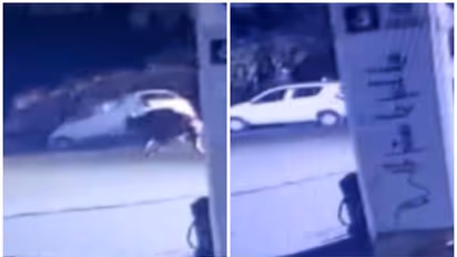 നാട്ടിലിറങ്ങി കാട്ടുപോത്തിന്റെ പരാക്രമം; കാറും ഇരുചക്ര വാഹനങ്ങളും തകർത്തു