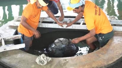 Gyanvapi Case: ಶಿವಲಿಂಗದ ಕಾರ್ಬನ್‌ ಡೇಟಿಂಗ್‌ಗೆ ಒಪ್ಪಿಗೆ ನೀಡಿದ ಅಲಹಾಬಾದ್‌ ಹೈಕೋರ್ಟ್‌!