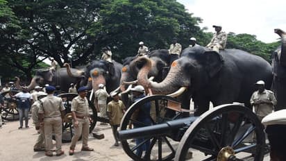 Mysuru Dasara 2022 : ಗಜಪಡೆಗಳಿಗೆ ಸಿಡಿಮದ್ದು ತಾಲೀಮಿನ ಹೈಲೈಟ್ಸ್