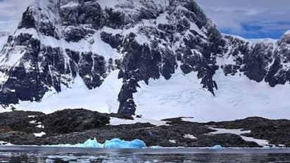 ধ্বংসের সবুজ সংকত আন্টার্টিকায়, হিমবাহ গলে যাওয়ায় সমুদ্রের জল বাড়তে পারে ৩-১০ ফুট