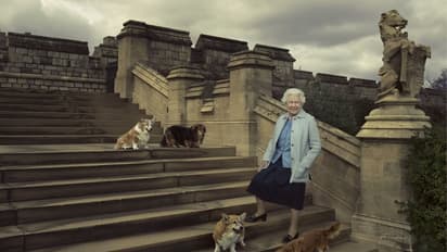 व्हिस्की, शेरी या हों डिस्को इन प्यारे कॉर्गी डॉग्स की देखभाल करेंगे महारानी के छोटे बेटे प्रिंस एंड्रयू