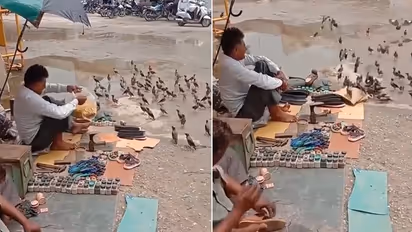 ಬಡವನಾದರೇನು ಪ್ರಿಯೆ.... ಬಾನಡಿಗಳ ಹೊಟ್ಟೆ ತುಂಬಿಸುವ ಸಹೃದಯಿ: ವಿಡಿಯೋ ವೈರಲ್