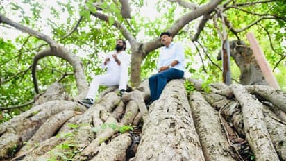 800 ఏళ్ల నాటి వృక్షానికి సెలైన్ బాటిల్స్తో చికిత్స.. పిల్లలమర్రికి పూర్వ వైభవం